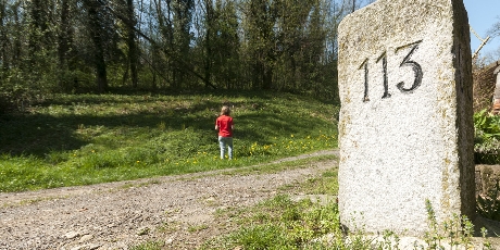 Un territorio e i suoi confini geografici e culturali, tra Italia e Svizzera. Parco Valle del Lanza 2018