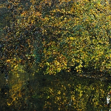 Parco Valle del Lanza